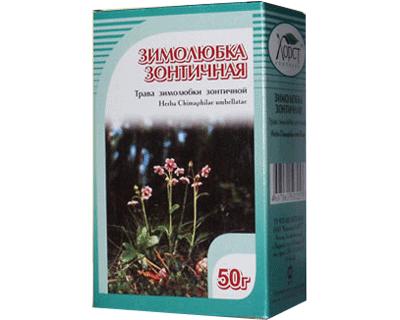 Chimaphila umbellata herb